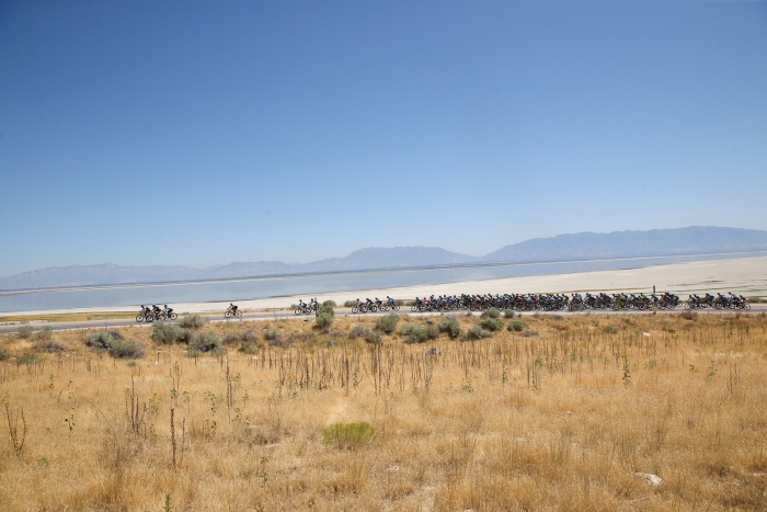 The peloton on Antelope Island. Stage 3 of the 2019 Tour of Utah. Photo by Cathy Fegan-Kim