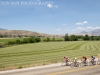 36_IMG_8328