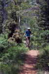 Navajo Lake Trail
