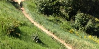 New Enduro Format and Super D Are Gaining in Popularity – Bell Wasatch Enduro to be held at Canyons on July 21