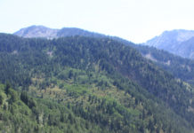 Schopp Wins 2012 Larry H. Miller Tour of Utah; Leipheimer Takes Final Stage Johann Tschopp (BMC) in Little Cottonwood Canyon on his way to winning stage 5 and the overall race