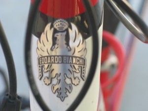 bianchi head badge