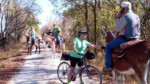 9Donkeys on Katy