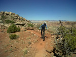 IMG02600-20131006-1256