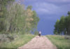 Bike Touring from Steamboat Springs to Grand Junction, Colorado Ashley chugging up a classic Great Divide road with a thunderstorm