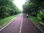 IMG02238-20130613-0942