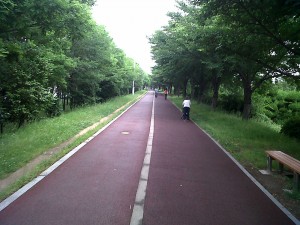 IMG02238-20130613-0942