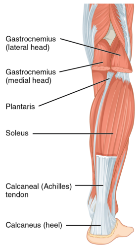 Cycling and Achilles Tendon Pain Cycling West Cycling Utah