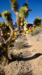 WP_20140125_003
