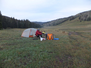 "Stealth" campsite in Cruces Basin Wilderness in New Mexico.