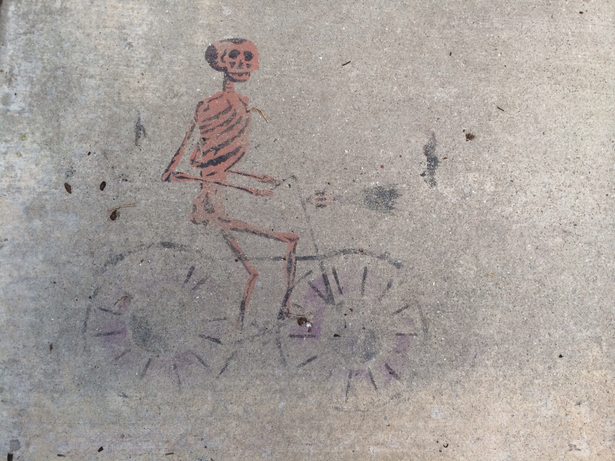 "Skeleton Cyclist" Photo by Dave Iltis