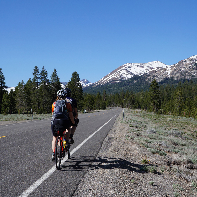 Carson Pass background.