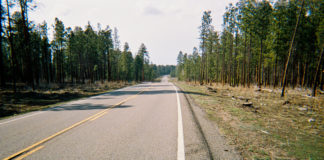 Quiet on the Kaibab Plateau – A Cycling Trip Kaibab Plateau
