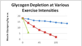 Nutrition Discussion: Modified Ketogenic Diet for Endurance Athletes and Cyclists