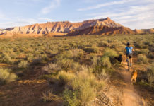 The Birth of a Trail Cryptobiotic soil near mountain bike trails