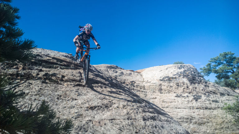 Some Call it February; We Call It Goose Season