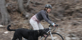 Commuting With Dogs – Tips for Riding With A Canine Jamie rides to work with Chorney each day. Chorney is on a short leash attached to the rear rack. Photo by Stephen Morningstar