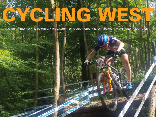 Norwegian Centre: More Cyclists = Safer Cycling