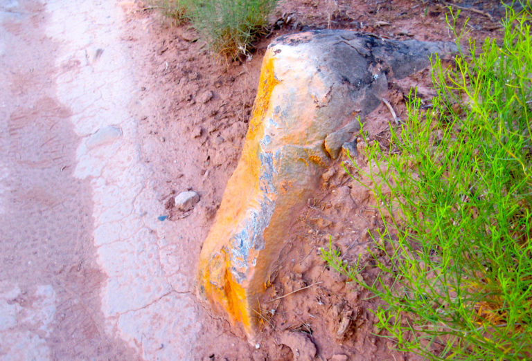 Down and Out (Literally) or “My Latest Bike Wreck”