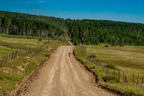 Fire Road--0951