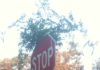 Idaho Stop in Utah? New Bill Would Allow Cyclists to Treat Stop signs as Yield Signs