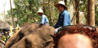 Mountain Biking in Thailand Mountain Bike Thailand