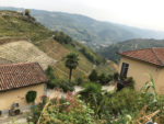 Ahh….Endless vineyards. These are in Montabone. Photo by Robert Wilson