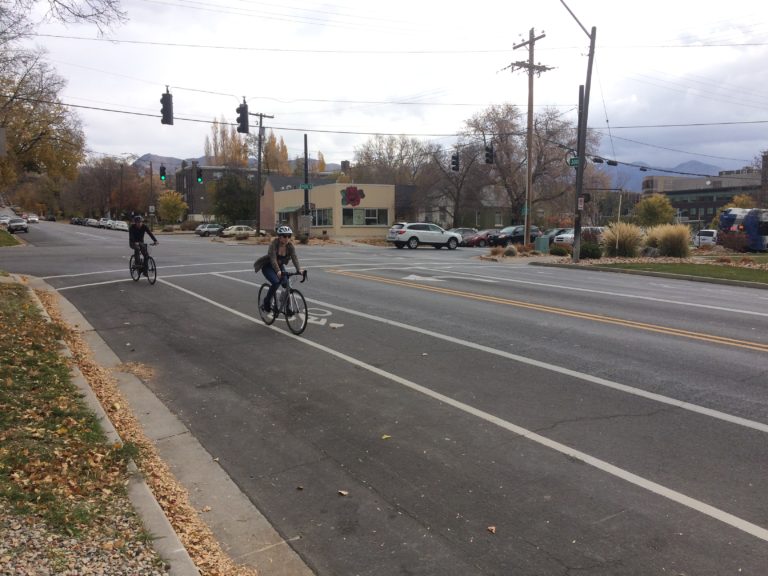 Bike lanes are good for public health. Photo by Dave Iltis