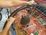 Elva Nava removes a tire in the process of changing a tube. Photo by Lisa Hazel