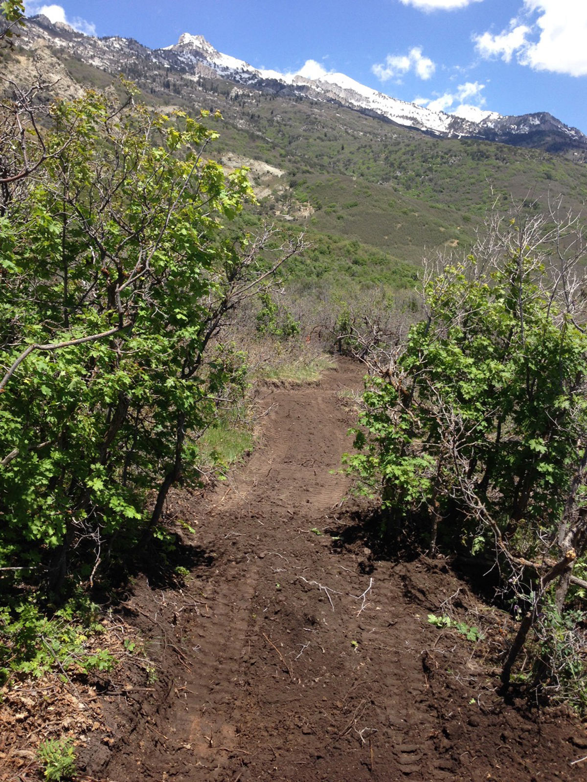 Heading east on the Three Falls Trail during construction. The trail enters a meadow with views of Lone Peak. Photo by Don West