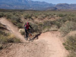 David Ward on the JEM Trail in St. George, Utah. Photo by Karma Ward