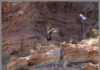 Brett Rheeder, doing a 360 backflip during his winning run in the 2018 Red Bull Rampage, October 26, 2018. Photo by Photo John, photojohn.net