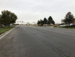 Gladiola Street _IMG_5514