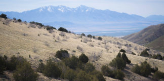 2019 Wild Horse Dirt Fondo Set for April 27 in the Cedar Mountains, Utah; Registration Opens February 15