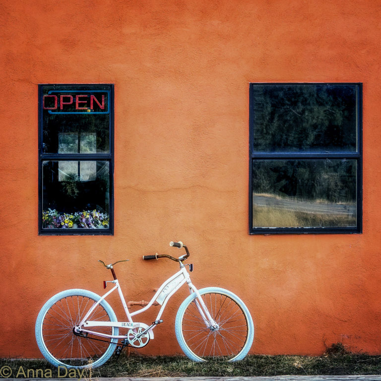 The Bicycle Art of Anna Day