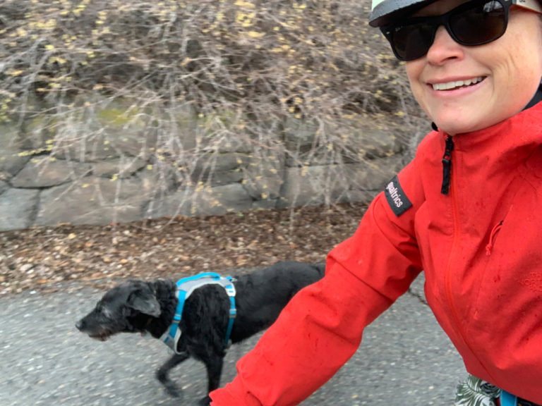 When Commuting Goes Wrong: Concussion Confessions