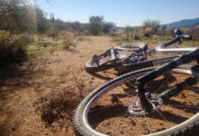 Celebrating the Holidays by Riding Your Bike