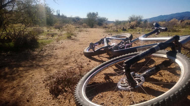 Celebrating the Holidays by Riding Your Bike