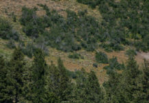 2019 Tour of Utah Stage 6 Gallery by Dave Richards