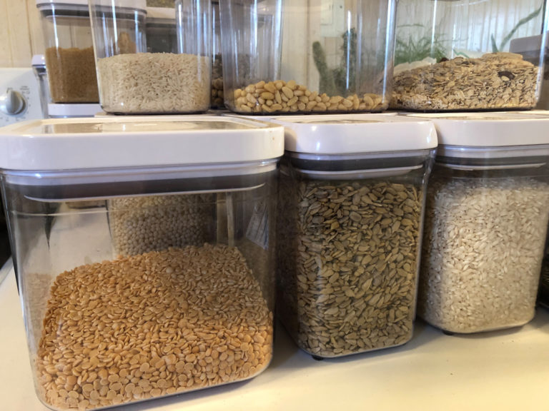 Cycling on a Plant-Based Diet