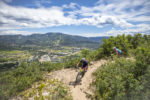 NOAHWETZEL_2019STINGER_MTB_8508