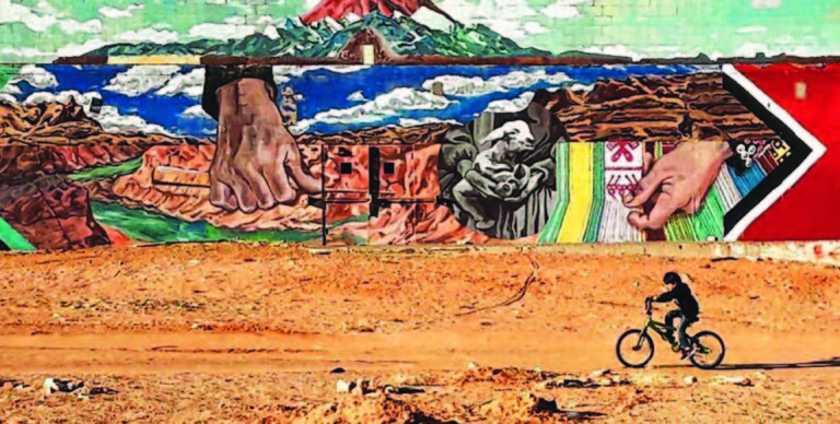 IMBA Announces Eight New Recipients of Trail Accelerator Grants