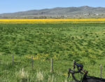 David Collins Utah Border Rides IMG_3760