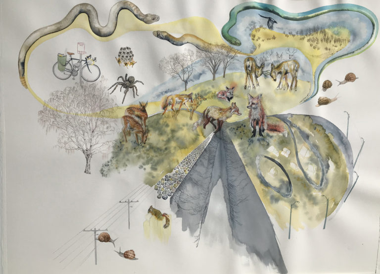 The Bicycle Art of Claire Taylor