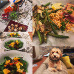 Plan 7 Coaching food and dog