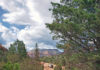 The first section interweaved with ATV routes. We were a little apprehensive about parking in the popular lot, but we happily returned to an intact vehicle. On the Coconino Loop. Photo by Patrick Walsh