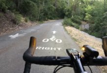 Common Courtesy Urged in Salt Lake City’s Crowded City Creek Canyon