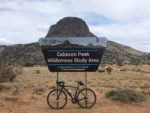 On the edge of Cabezon Wilderness Study Area. Photo by Don Scheese