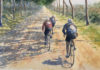 Three Man Break – The Bicycle Art of Richard Vroom