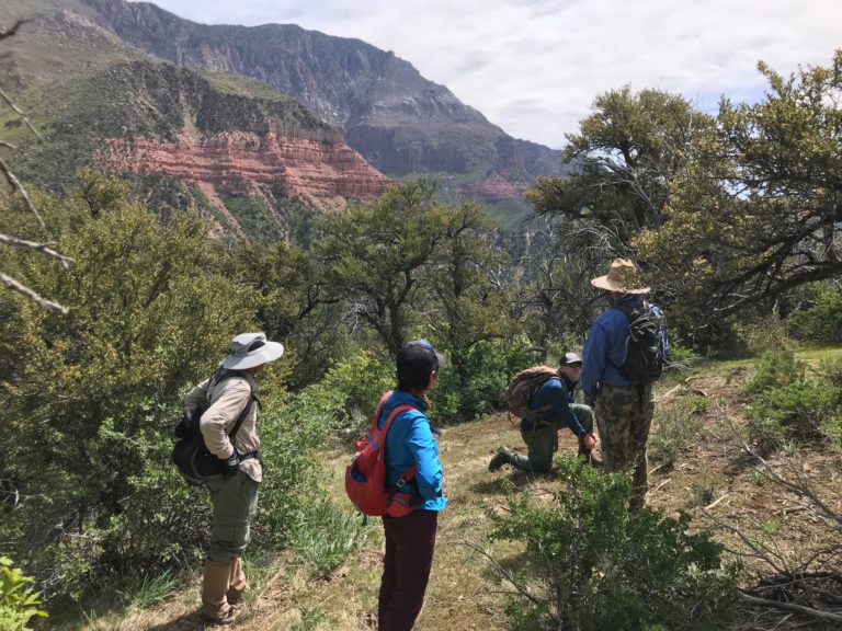 Photo courtesy Trail Alliance of Southern Utah